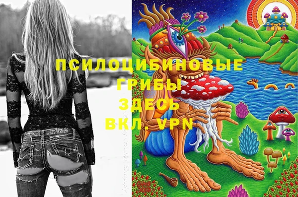 гашиш Володарск