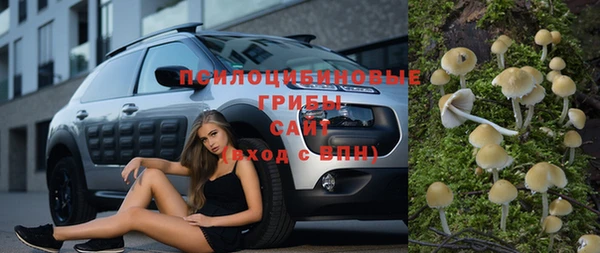 стаф Приозерск