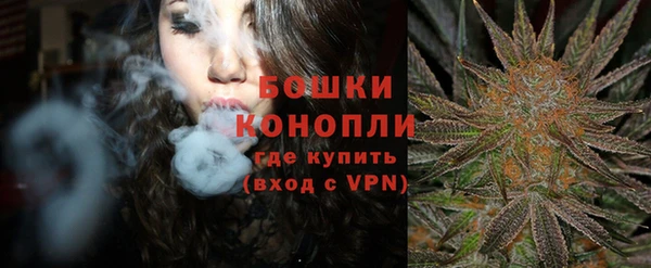 стаф Приозерск