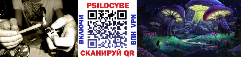купить   Ейск  Псилоцибиновые грибы Cubensis 