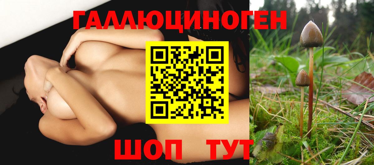 Псилоцибиновые грибы Psilocybe  купить наркотик  Ейск 