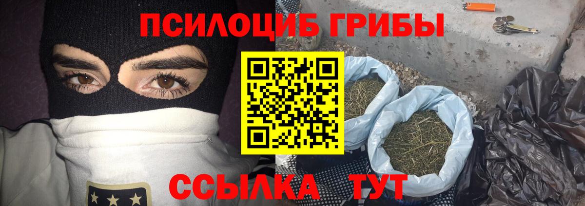 Ейск  Псилоцибиновые грибы прущие грибы  Вход с VPN  Псилоцибиновые грибы ЛСД 