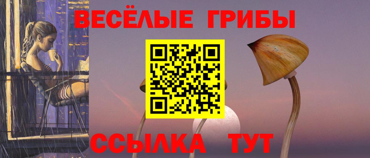 Псилоцибиновые грибы MAGIC MUSHROOMS Ейск